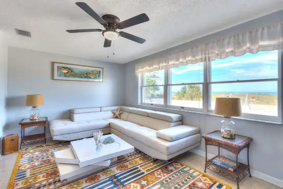 spacious and cozy living room area with bright natural lights