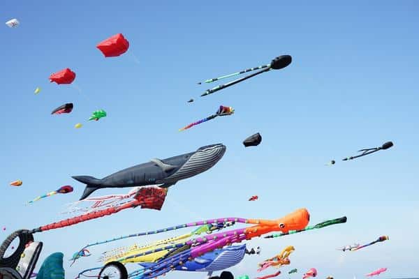 various kites flying on the blue sky in the kite festival