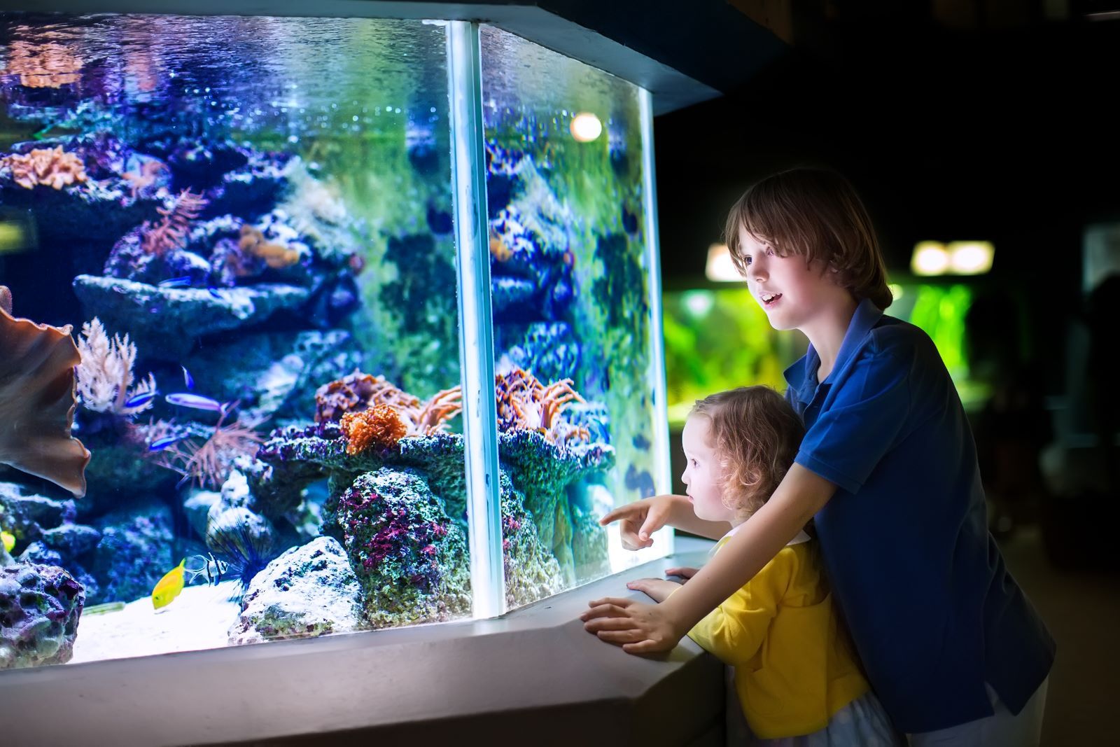 Take a Day Trip to The Florida Aquarium