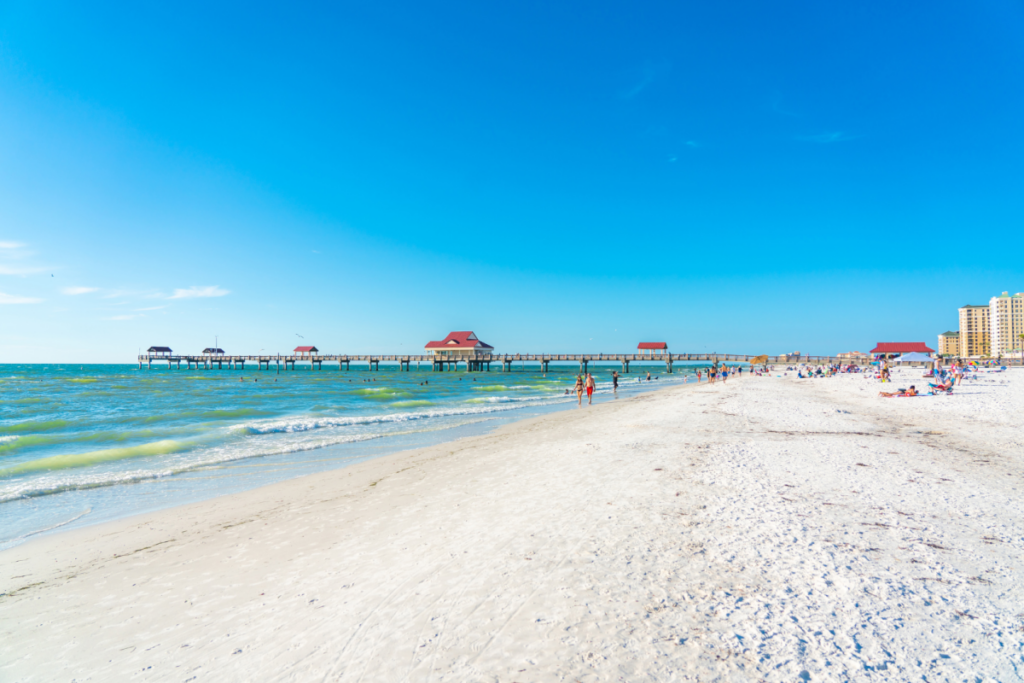 clearwater beach header