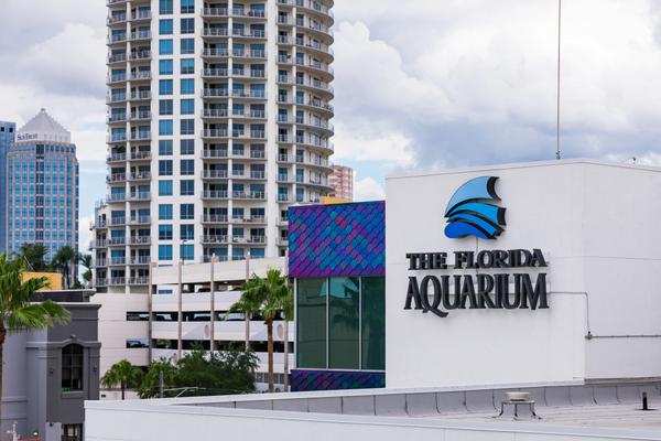 clearwater marine aquarium in clearwater florida