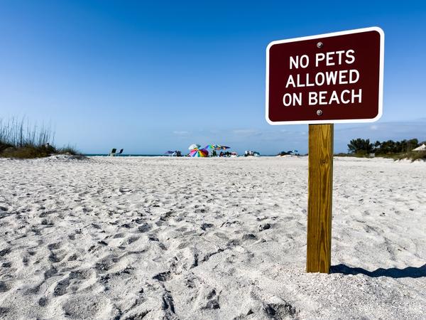 no pets allowed on beach sign on florida beach