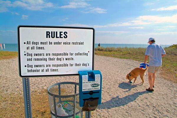 signs regulate the actions of patrons with pets and dogs to fort desoto county park