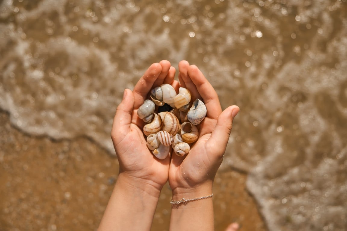 13 Best Free Things to Do on Clearwater Beach