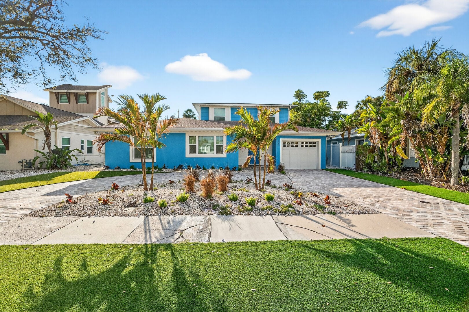 The Blue Flamingo photo 5